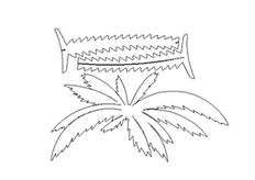線切割椰樹(shù),線切割圖紙免費(fèi)下載